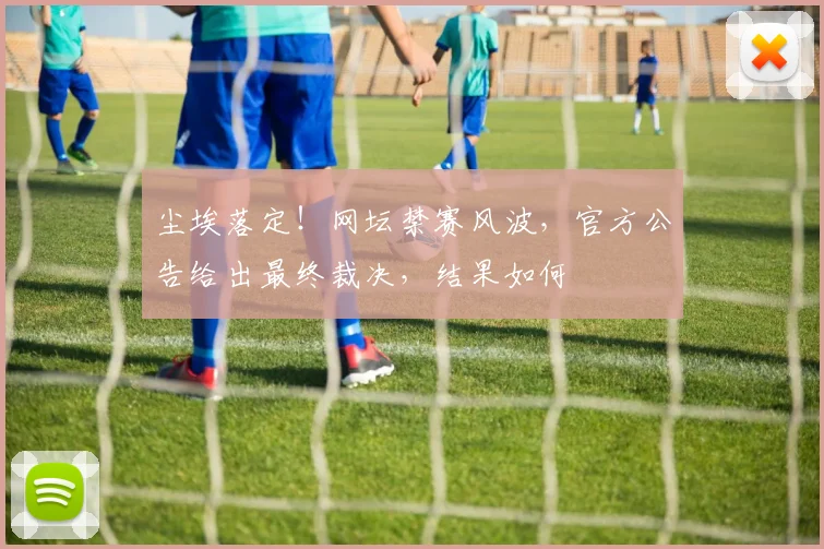 尘埃落定!网坛禁赛风波,官方公告给出最终裁决,结果如何